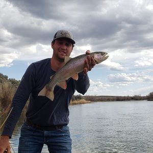 Meet your Posher, Ross